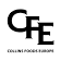 Collins Foods Europe logo