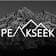 PeakSeek logo